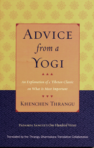 (image for) Advice from a Yogi (PDF)